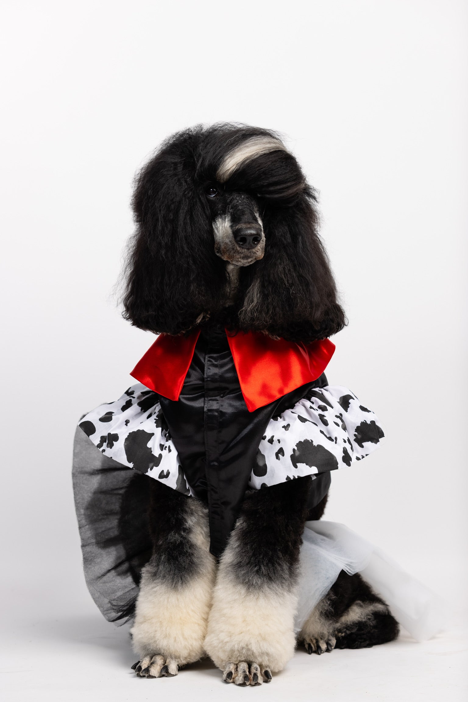 Cruella Pet Costume Cruella Pet Costume