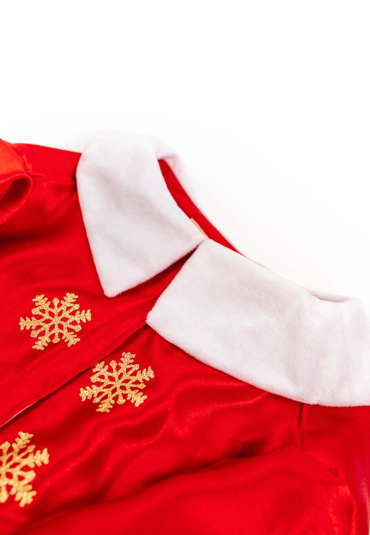 MS Claus Xmas Pet Costume