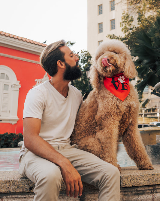 Love - Bandana