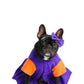 Angie Pickles Pet Costume