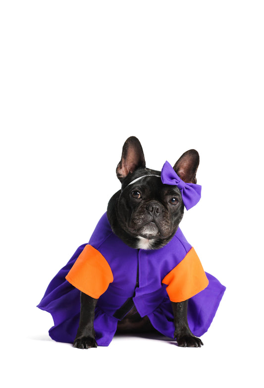 Angie Pickles Pet Costume