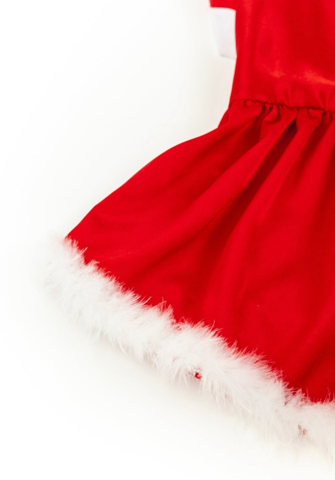 MS Claus Xmas Pet Costume