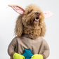 Paw The Child Pet Costume