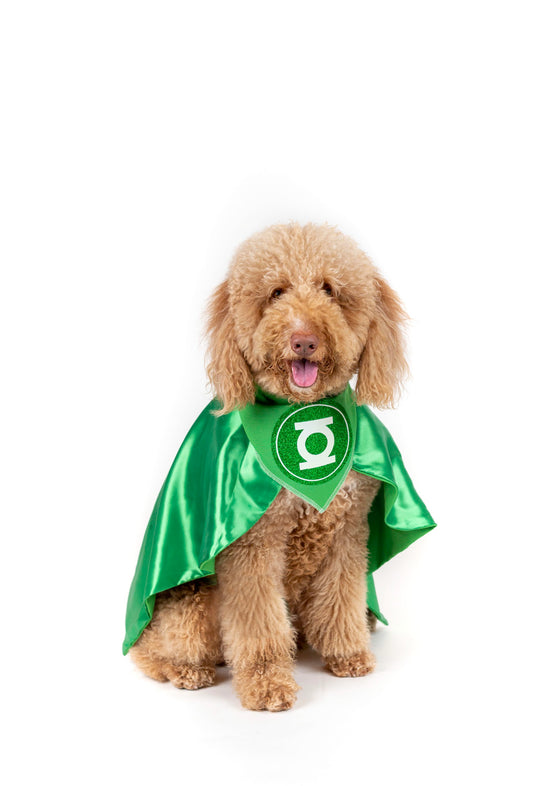 Green lanthern Pet Costume