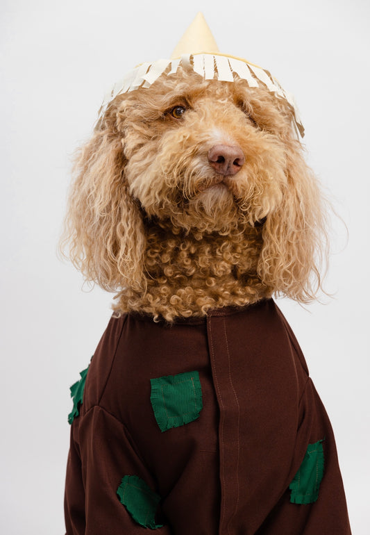 Scarecrow Pet Costume