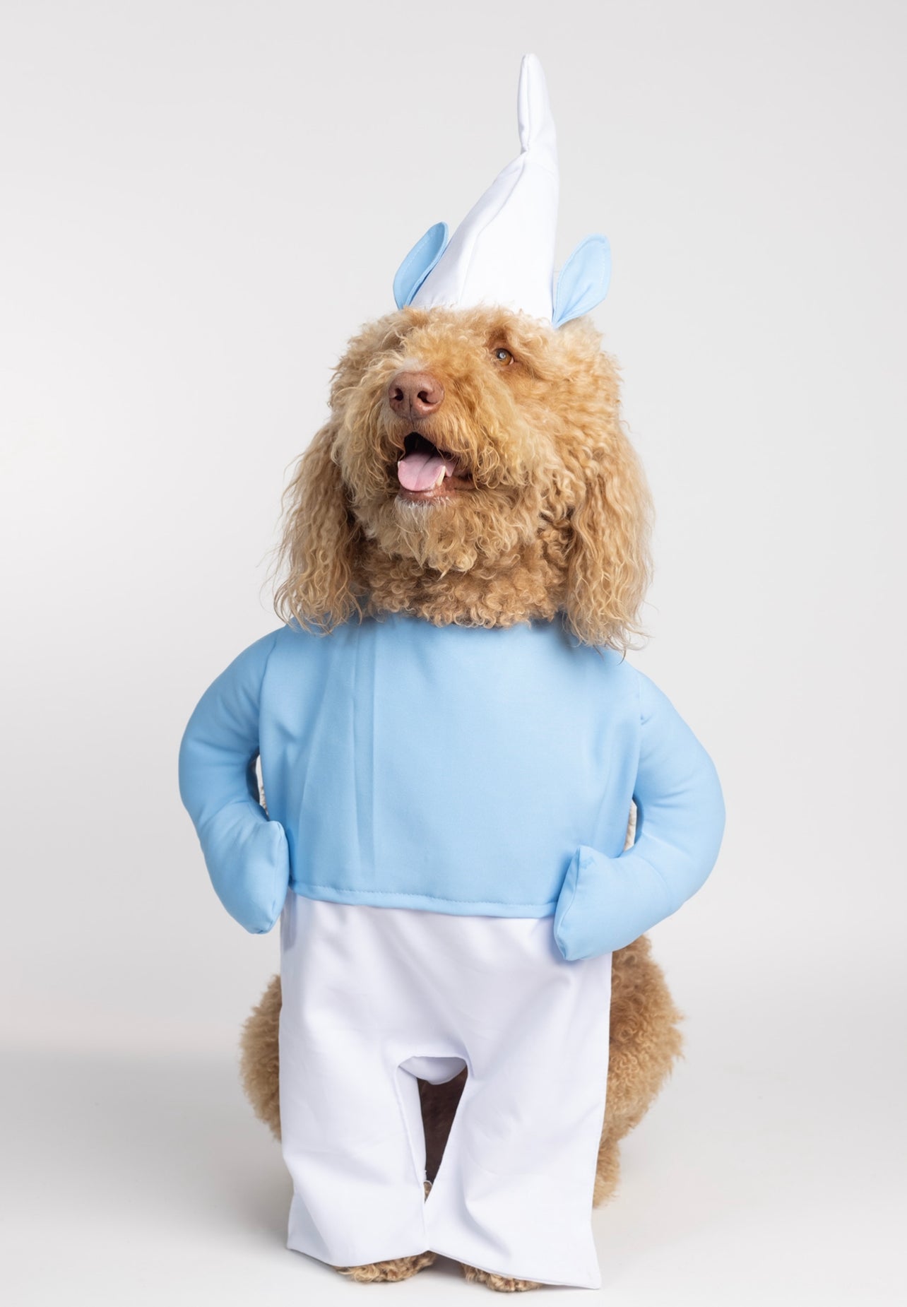 Little Blue Pet Costume