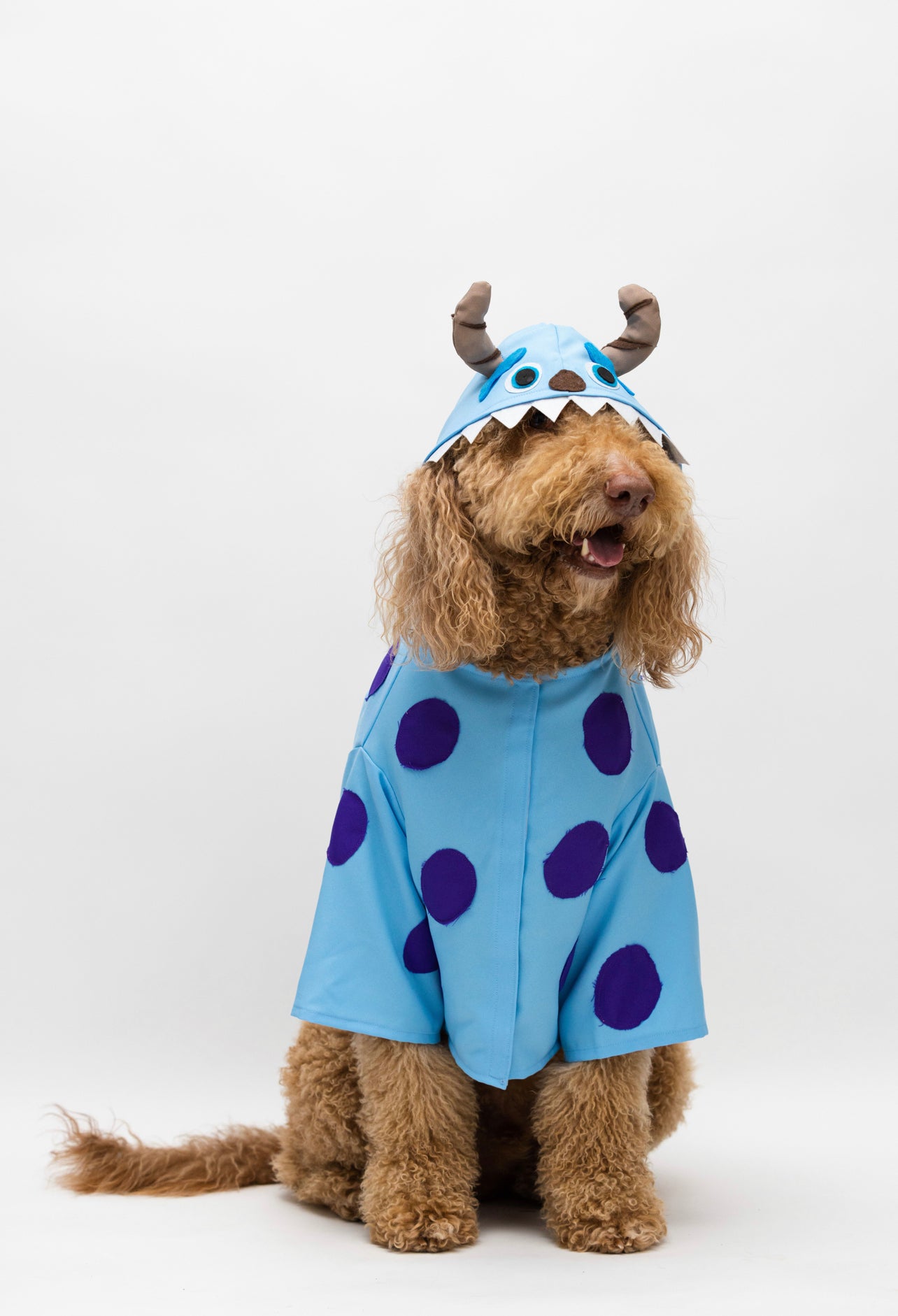 Sulley Costumes