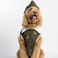 Aviator Dog Costume