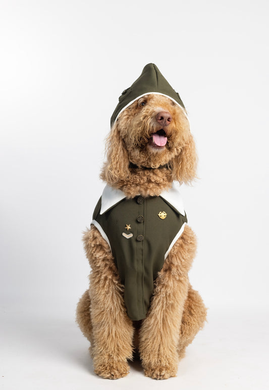 Aviator Dog Costume