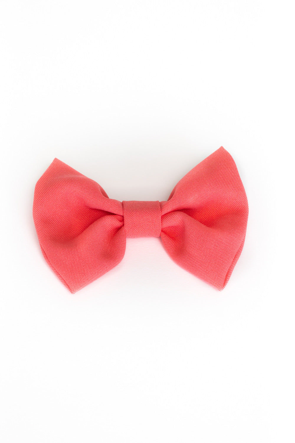 Bows for Dogs - Female