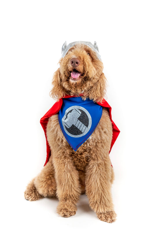 Dog of Thunder Pet Bandana