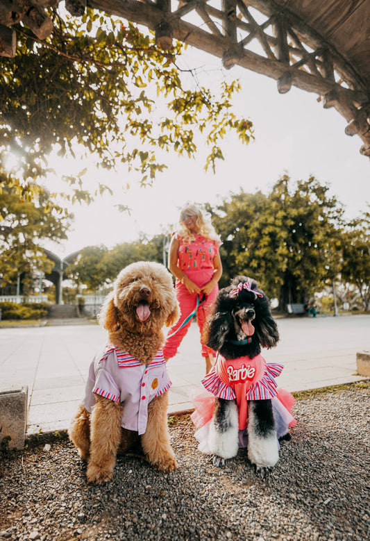 Barbie Pet Custome