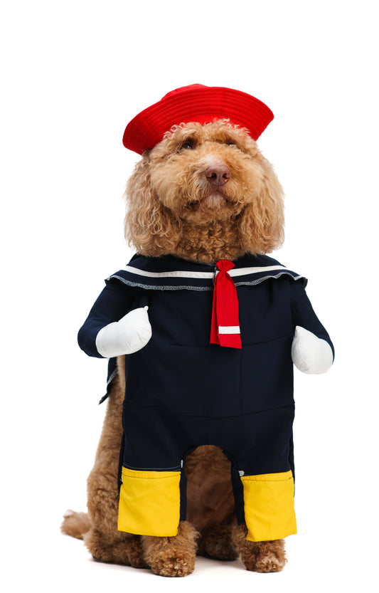 Kiko Pet Costume