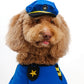 Chase Pet Costume