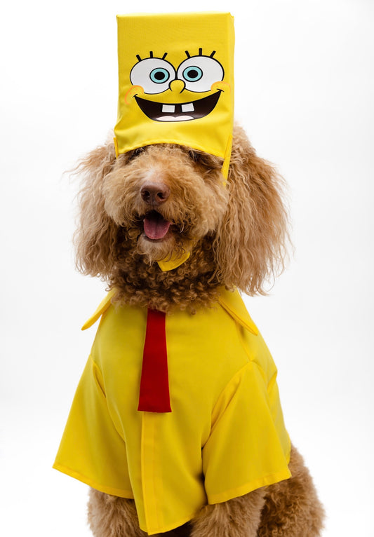 Sponge Pet Costume