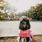 Barbie Pet Custome