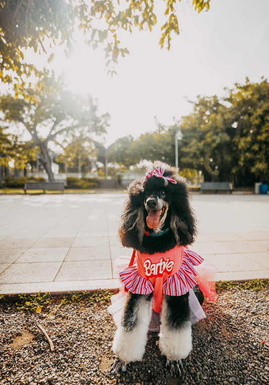 Barbie Pet Custome