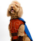 Hércules Pet Costume