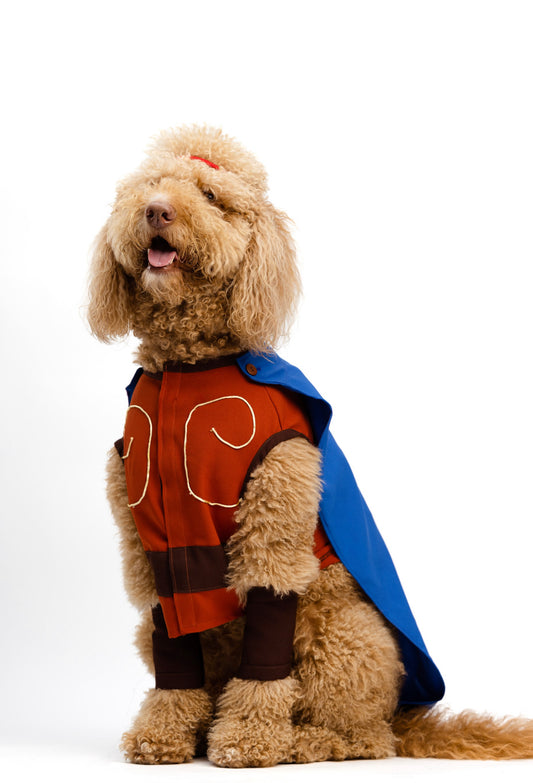 Hércules Pet Costume