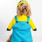 Minions Pet Custome