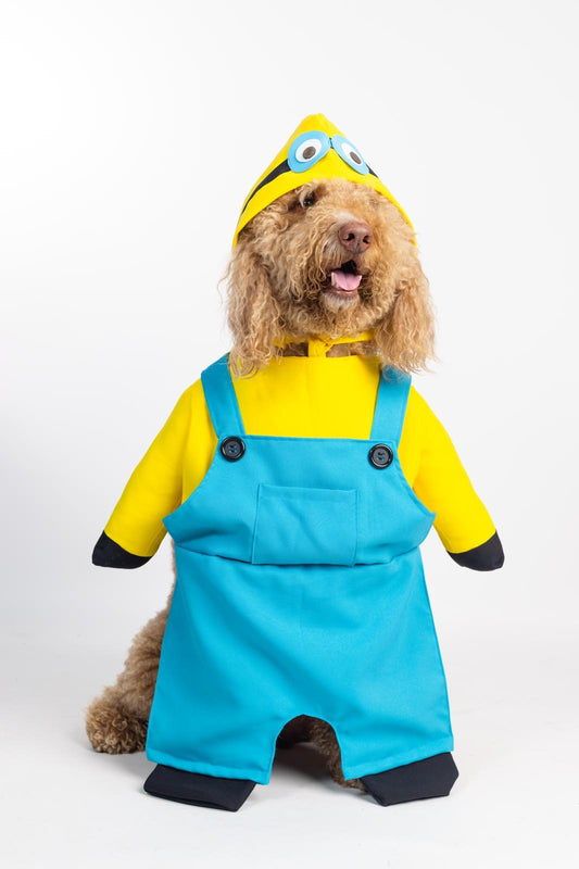 Minions Pet Custome