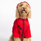 Tokio Paw Pet Custome