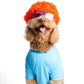 Finster Pet Costume