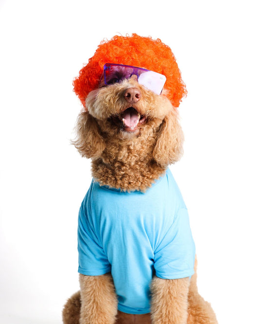 Finster Pet Costume