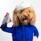 Joy-Son Pet Costume