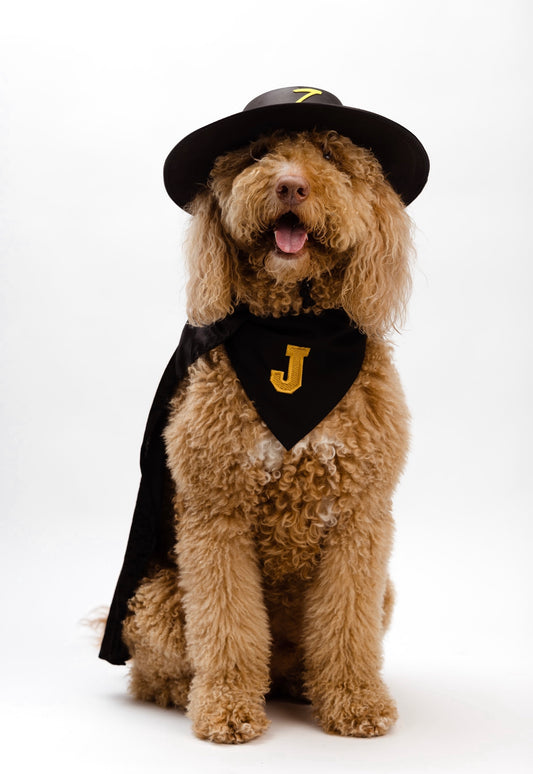 Zorro Pet Costume