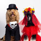Catrina Pet Custome
