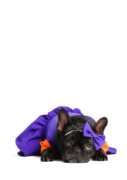 Angie Pickles Pet Costume