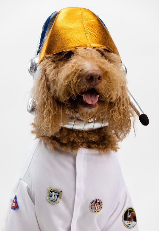 Astronaut Pet Costume
