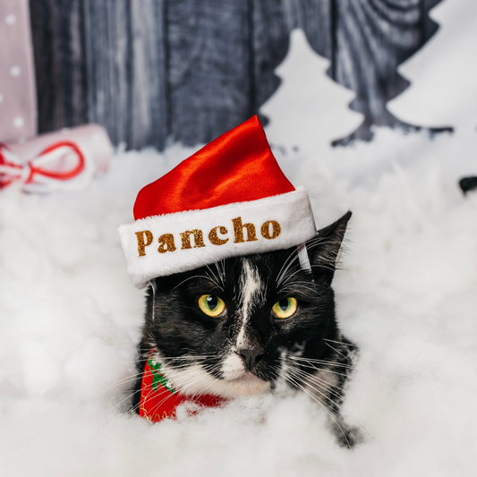 Santa Hat for Pets