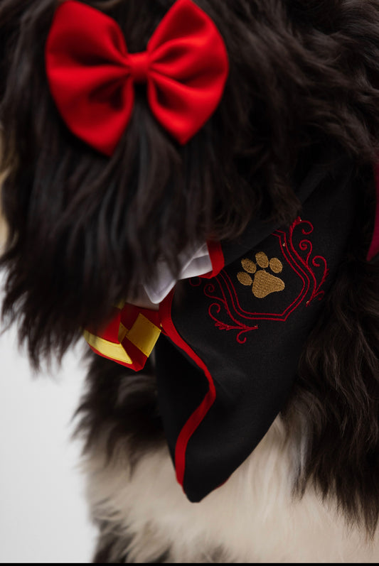 Dog Potter Pet Costume