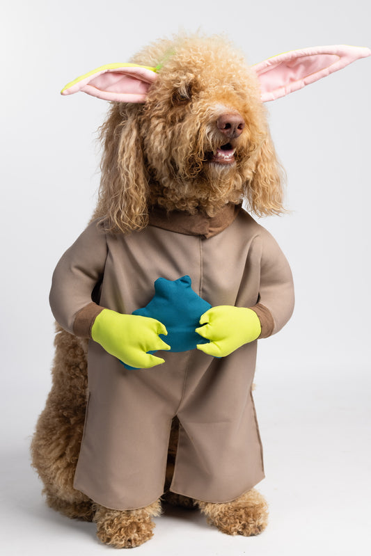 Paw The Child Pet Costume