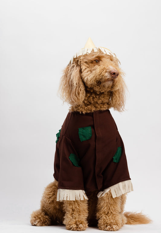 Scarecrow Pet Costume