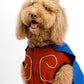 Hércules Pet Costume