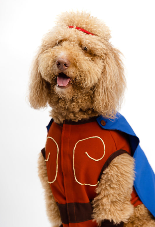 Hércules Pet Costume