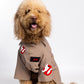 Ghostbusters Joy Pet Custome
