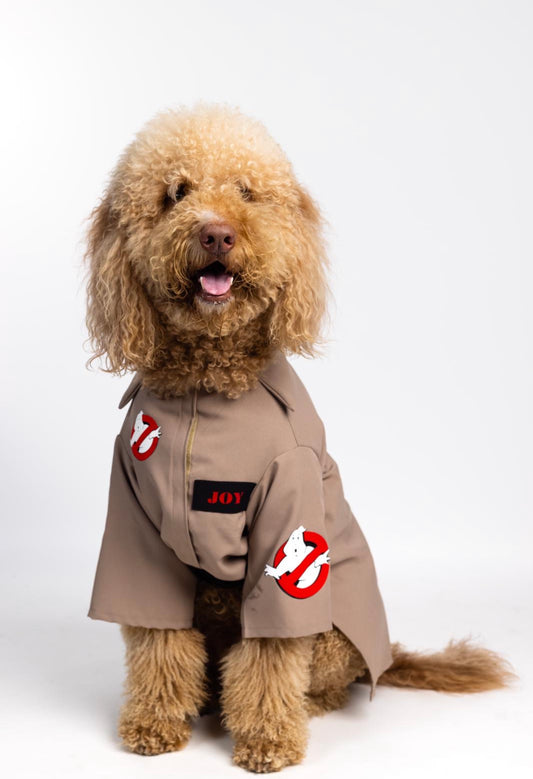 Ghostbusters Joy Pet Custome