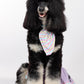 Grease Pet Custome