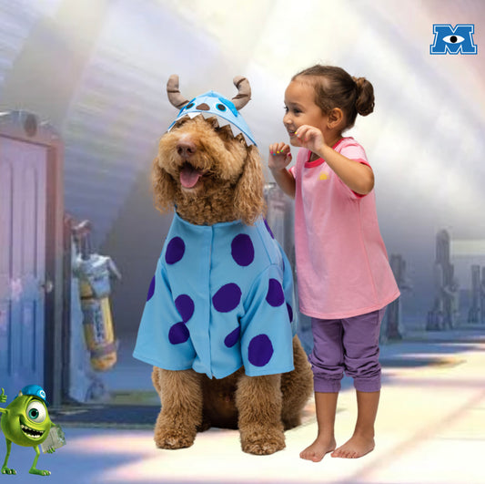 Sulley Costumes