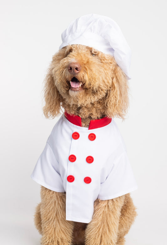 Pawtatouille Pet Costume