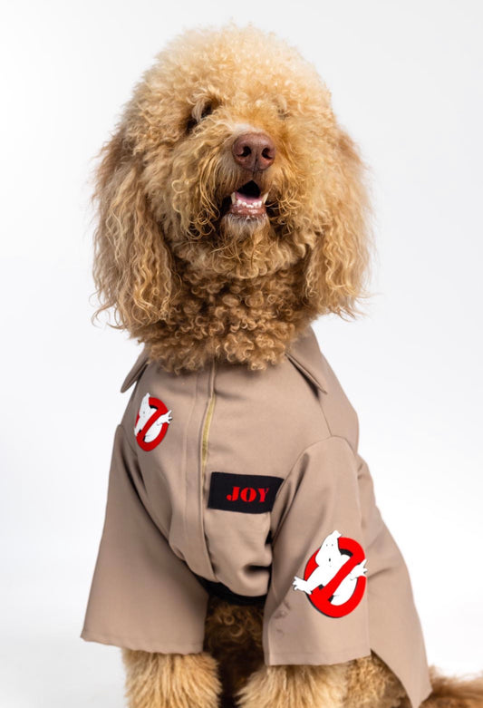 Ghostbusters Joy Pet Custome