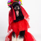 Catrina Pet Custome