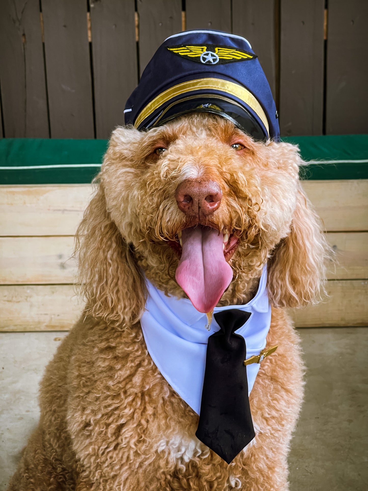 Plane Pilot Bandana