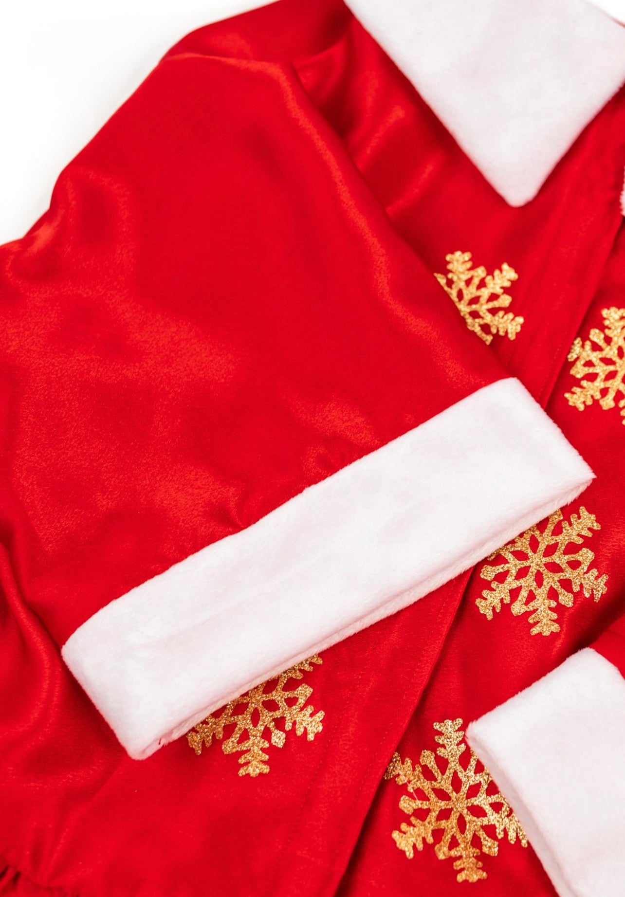 MS Claus Xmas Pet Costume