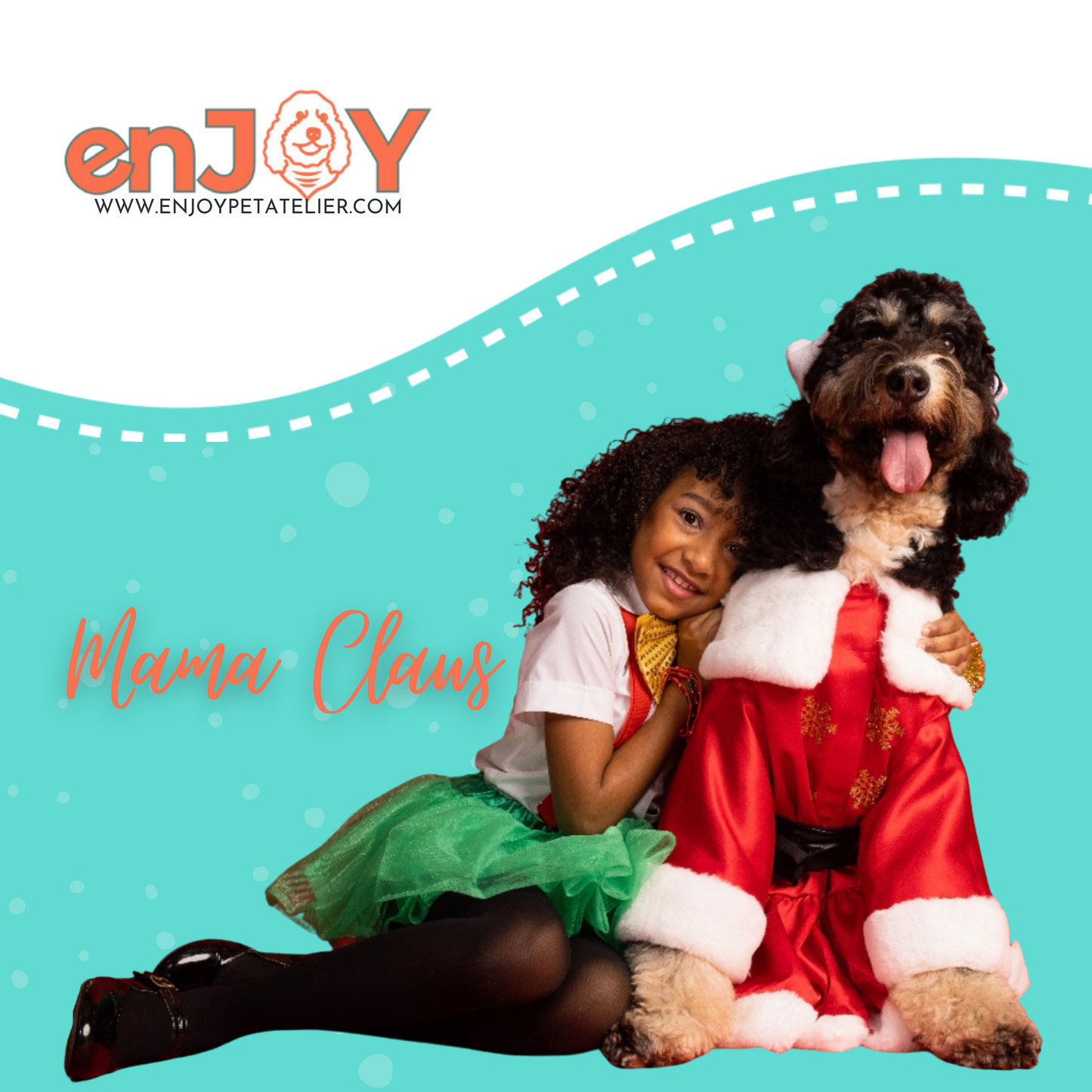 MS Claus Xmas Pet Costume