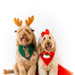 Reindeer Red Xmas Pet Bandana with Tutu